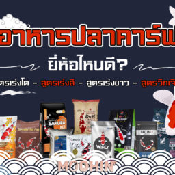 ดูดวงทะเบียนรถ ผลรวมทะเบียนรถ เลขทะเบียนรถมงคล เสริมโชค 2566 - Moohin ดูดวงทะเบียนรถ ผลรวมทะเบียนรถ เลขทะเบียนรถมงคล เสริมโชค 2566 - Moohin