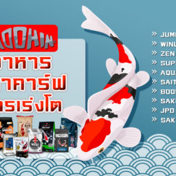 ดูดวงทะเบียนรถ ผลรวมทะเบียนรถ เลขทะเบียนรถมงคล เสริมโชค 2566 - Moohin ดูดวงทะเบียนรถ ผลรวมทะเบียนรถ เลขทะเบียนรถมงคล เสริมโชค 2566 - Moohin