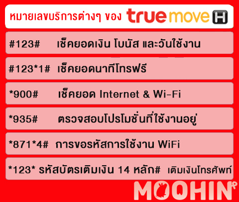 หมายเลขบริการต่างๆ ของ true